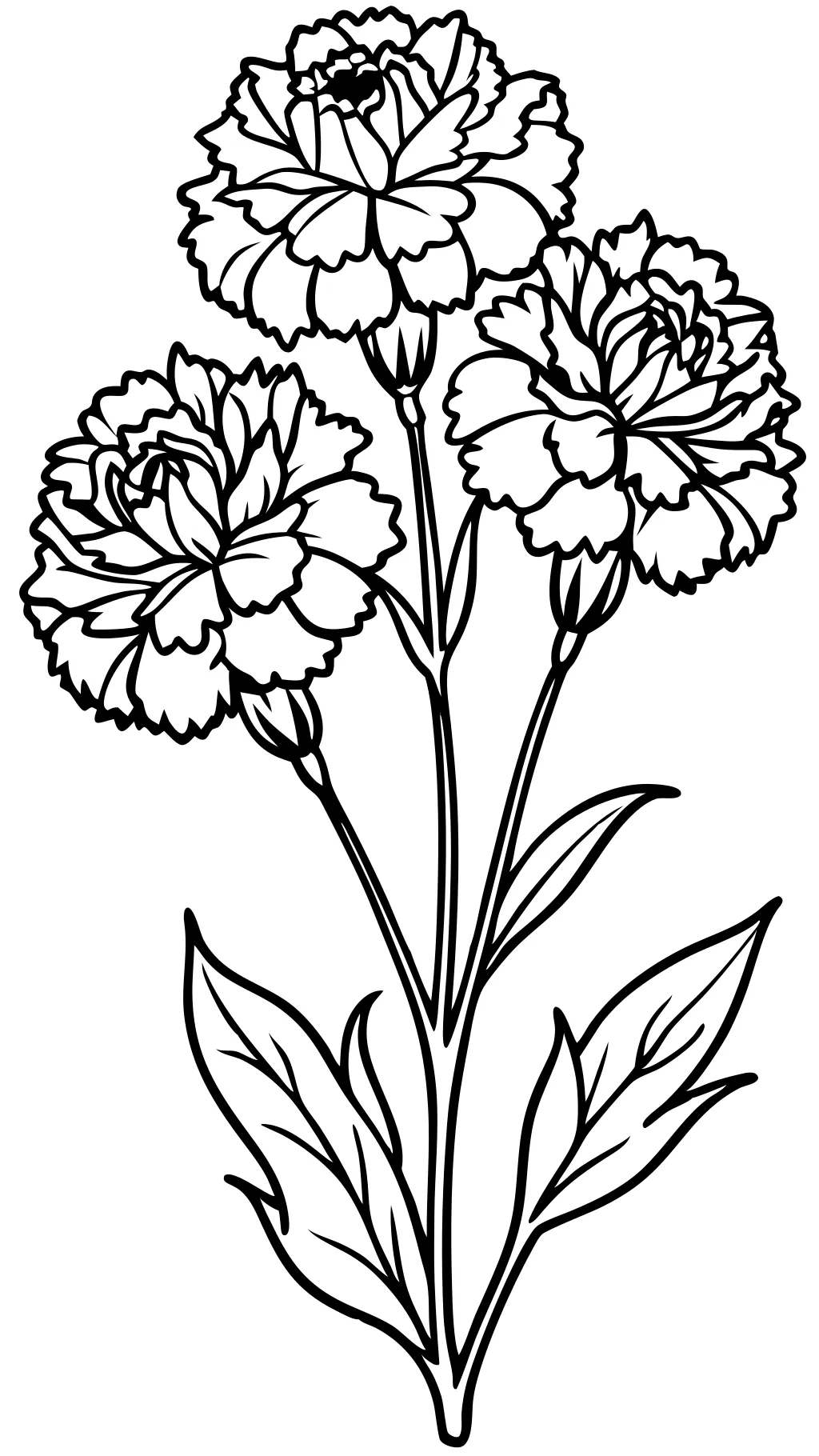 coloriage en carnation